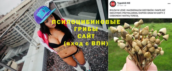 каннабис Баксан