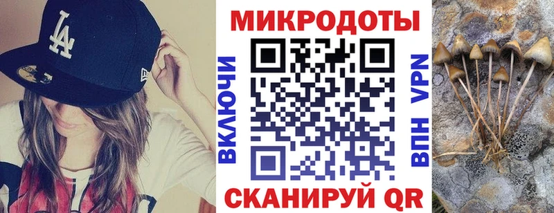 наркота  Пучеж  Галлюциногенные грибы ЛСД 
